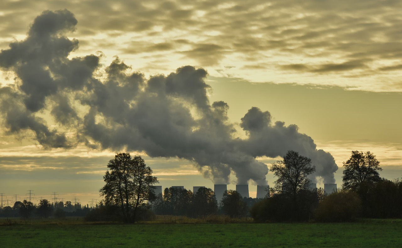 From Fashion Runways to Forest Run-off: The Hidden Cost of Fast Fashion on Biodiversity